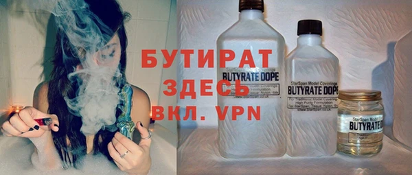 шишки Лабытнанги