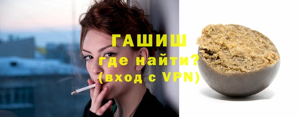 шишки Лабытнанги