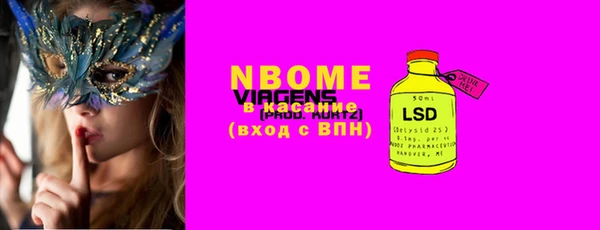 шишки Лабытнанги